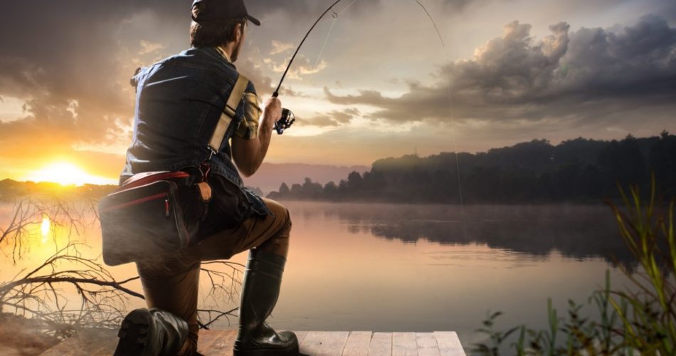 AdobeStock 75146591 scaled 1